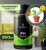 лавн.JPG