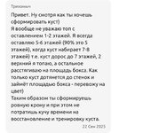 IMG_0942.jpeg