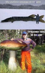 IMG_0958.jpeg