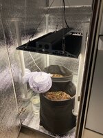 IMG_0642.jpeg