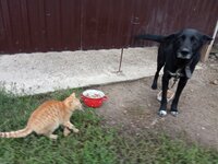 IMG_20251017_073048.jpg