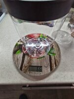 IMG_20251018_150755.jpg