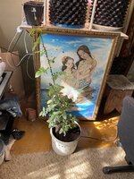 IMG_1055.jpeg