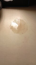 IMG_20251022_223835_414.jpg