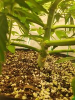20251025_000303.jpg