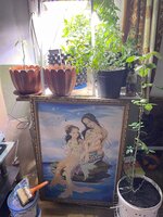 IMG_1280.jpeg IMG_1280.jpeg