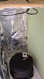 IMG_20251031_120351_642.jpg