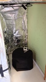 IMG_20251031_120409_380.jpg