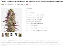 Gorilla Zkittlez Auto fem.jpg