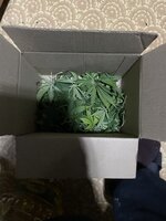 IMG_1409.jpeg