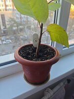 IMG_20251101_163821.jpg