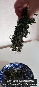 20251022_130933.jpg