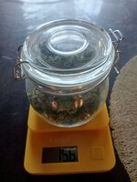 IMG_20251104_084615_744.jpg