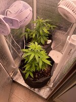 IMG_2202.jpeg
