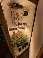 IMG_1525.jpeg