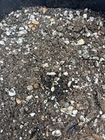 IMG_20251109_134441_757.jpg
