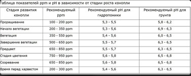 IMG_9153.jpeg