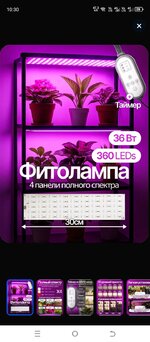 Screenshot_20251111-103015.jpg