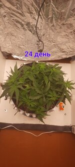 20251112_122528.jpg