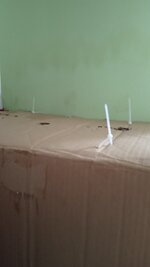 IMG_20251113_141706_765.jpg