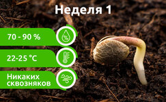 week-1__trpwZggBLSMKl146.jpg week-1__trpwZggBLSMKl146.jpg