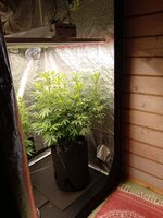 IMG_20251118_102252_923.jpg