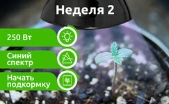 week-2__82qa4NX34kPsDEx5.jpg week-2__82qa4NX34kPsDEx5.jpg