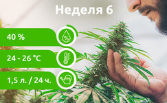week-6__TYW5C7x1LWTDHR66.jpg week-6__TYW5C7x1LWTDHR66.jpg