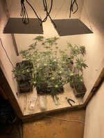 IMG_1633.jpeg