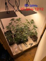 IMG_1634.jpeg
