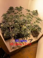 IMG_1674.jpeg