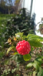 IMG_20251125_123046.jpg