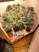 IMG_1719.jpeg