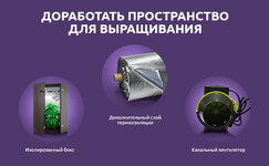prostranstvo-dlya-vyrashchivaniya__POI2MpxBcfkXquy1.jpg prostranstvo-dlya-vyrashchivaniya__POI2MpxBcfkXquy1.jpg