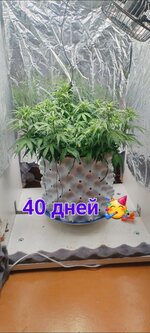 IMG_20251128_173303_905.jpg