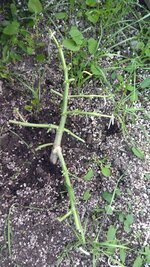 IMG_20251028_155123.jpg