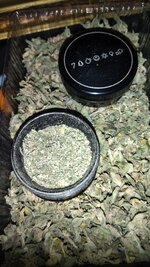 IMG_20251205_171137.jpg