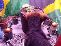 IMG_20251207_060946.jpg