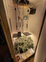 IMG_1858.jpeg