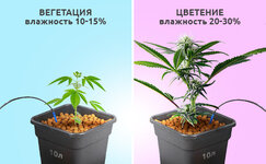 vlazhnost-substrata__d1vSiYzXPD4NKRbO.jpg