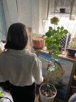 IMG_1887.jpeg