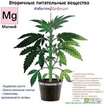 IMG_20230629_171433_039.jpg