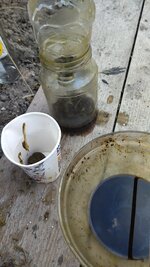 IMG_20251213_145136.jpg