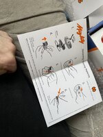 IMG_1952.jpeg