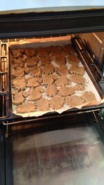 IMG_20251219_150817_607.jpg