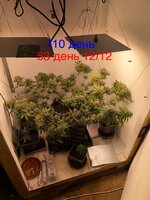 IMG_2026.jpeg