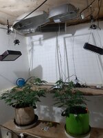 20251223_082859.jpg 20251223_082859.jpg
