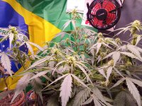 IMG_20251225_062058.jpg