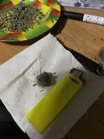 IMG_2198.jpeg