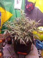 IMG_20251228_144540.jpg